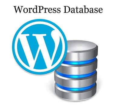 Reasons to Seek Best Teaching for WordPress Sites and SEO  image