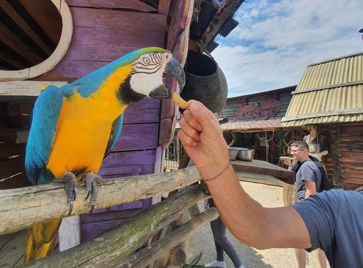 Obisk živalskega vrta ZOO Land