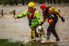 Coping with the Emotional Effects of Flooding