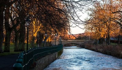 8 ideas para regalos de navidad image