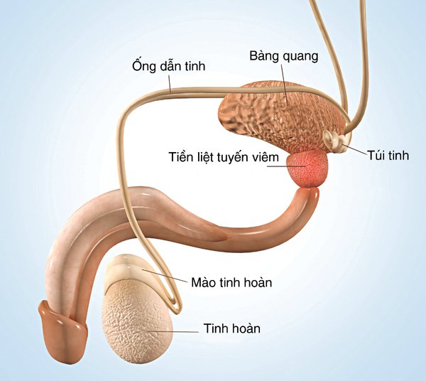 Chia se 2 cach chua tinh trung yeu hieu qua