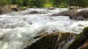 Jesus, det eneste. Anders Olsen Steinberg