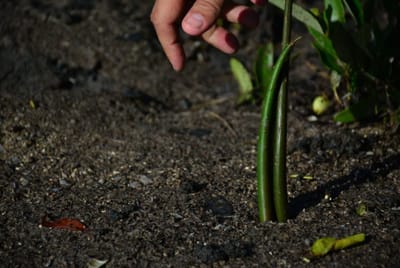 Comunicación que da vida