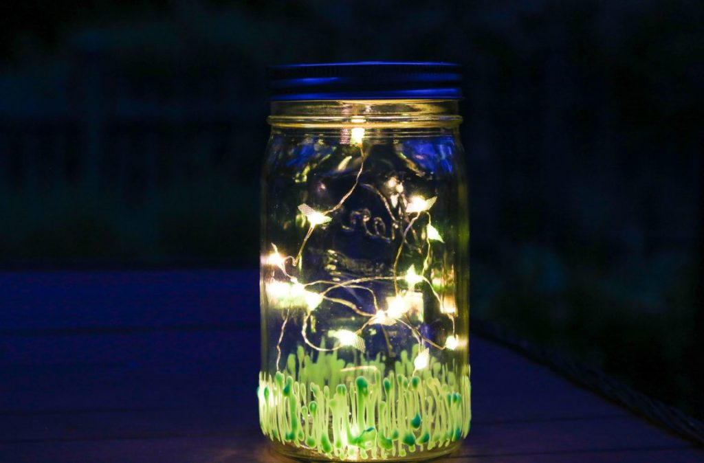 Awesome Facts About Fireflies!