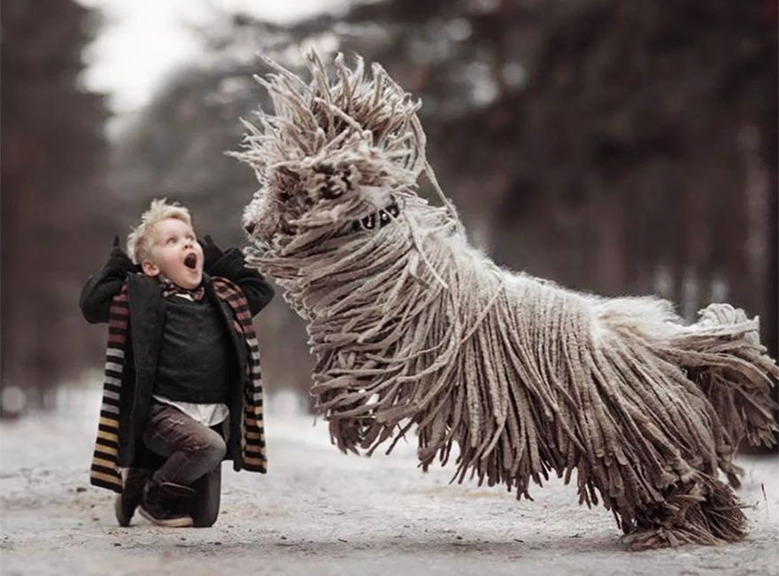 5 Fun Facts About Komondor Dogs!