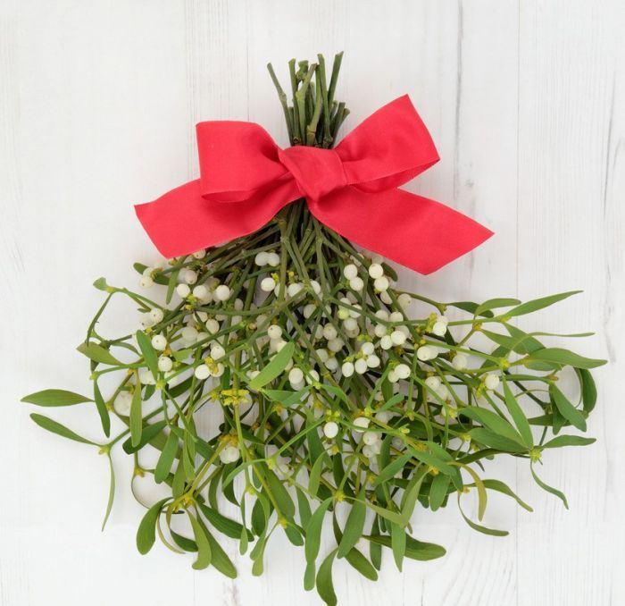 16 Sweet Facts About Mistletoe