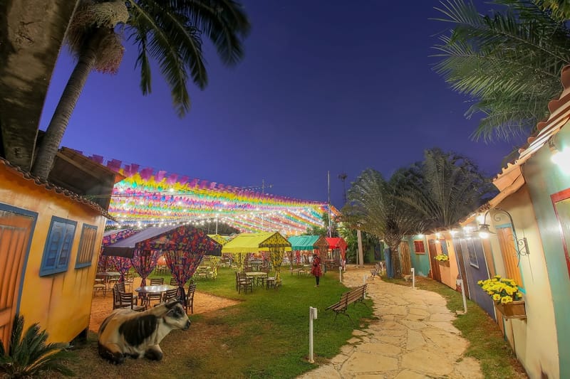 Quintal da Dona Graça