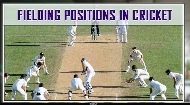 Fielding Positions in Cricket with Diagram