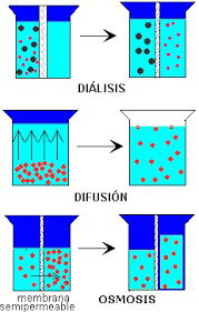 METODOS DE SEPARACION POR DIFUSION