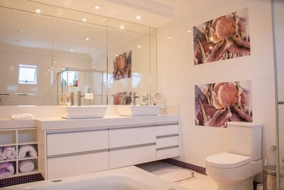 2. Bathroom fixtures image