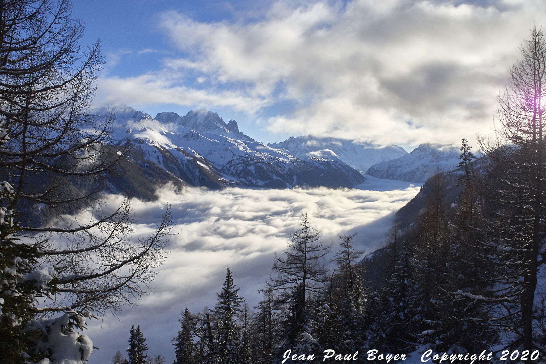 Suisse Bel Oiseau
