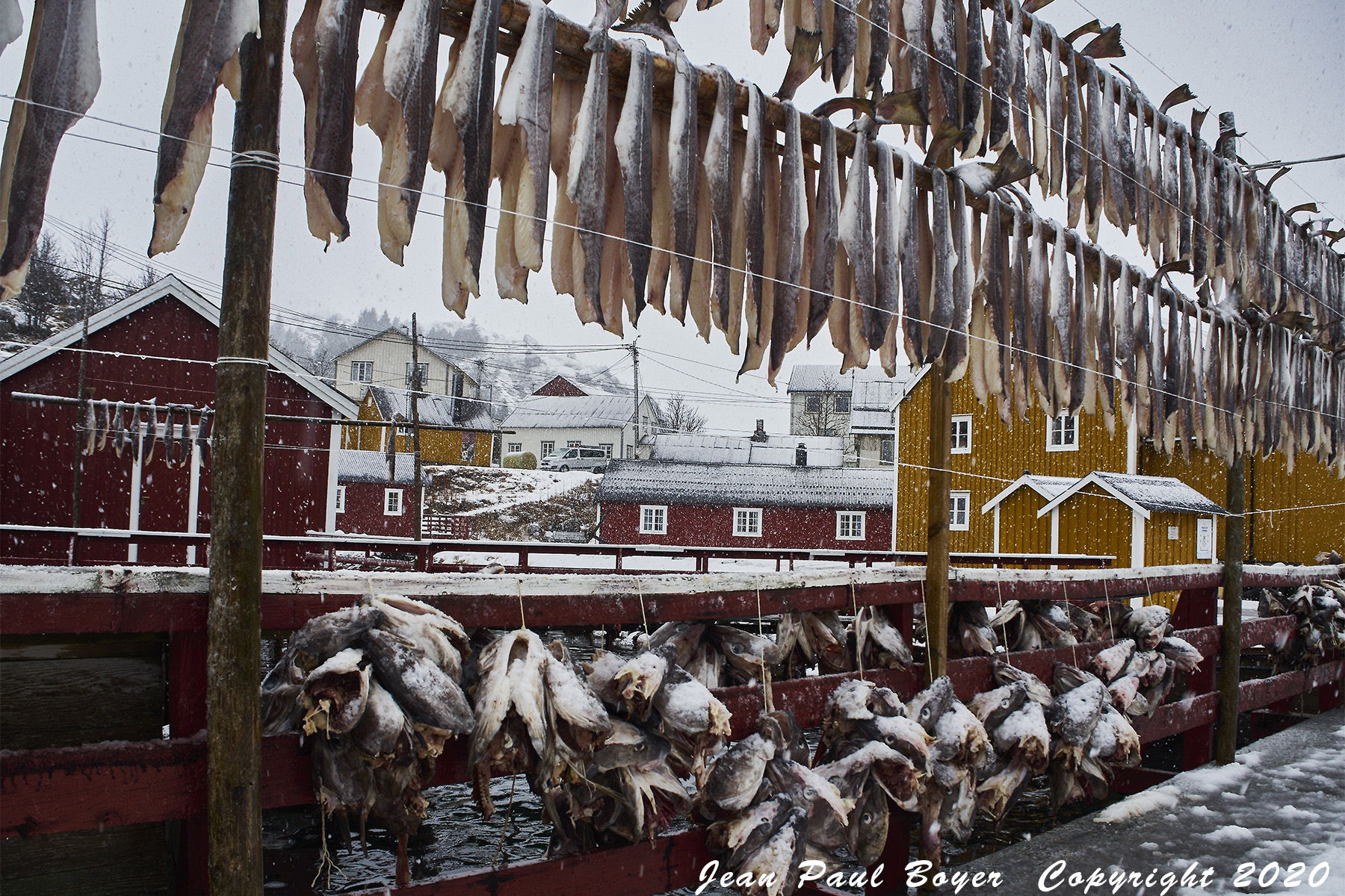 Norvège Lofoten Nusfjord séchoir à morues