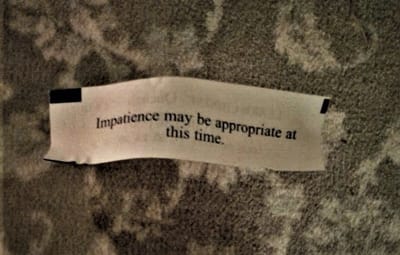 Post #4: Rolling with the Punches