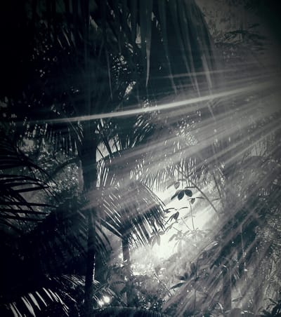 Post #10: Hindsight, and 2020