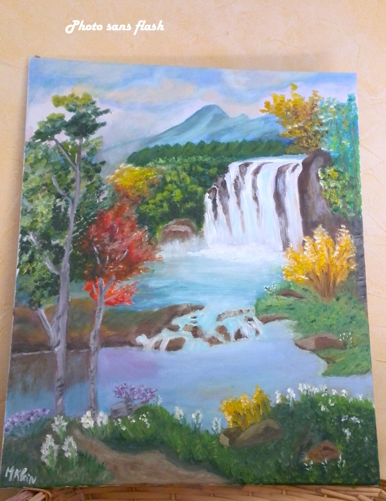 Cascade et Montagne!