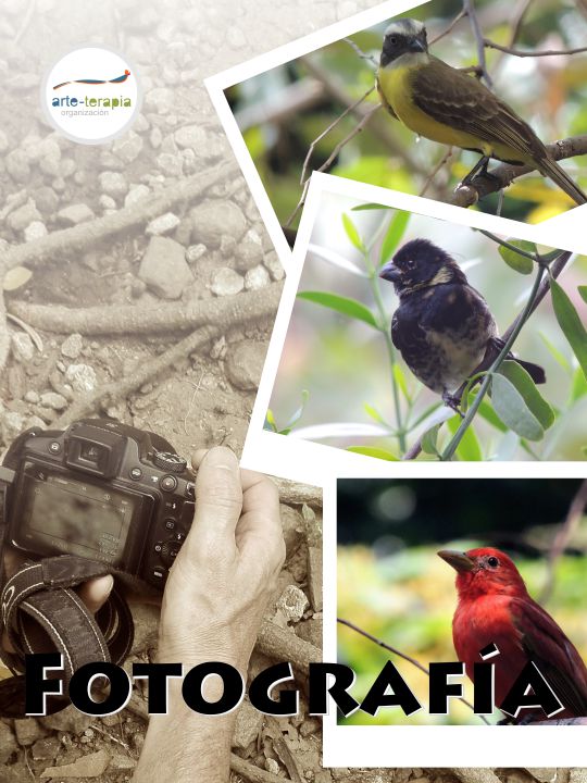 Fotografía
