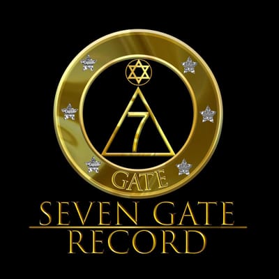7 Gate Record image