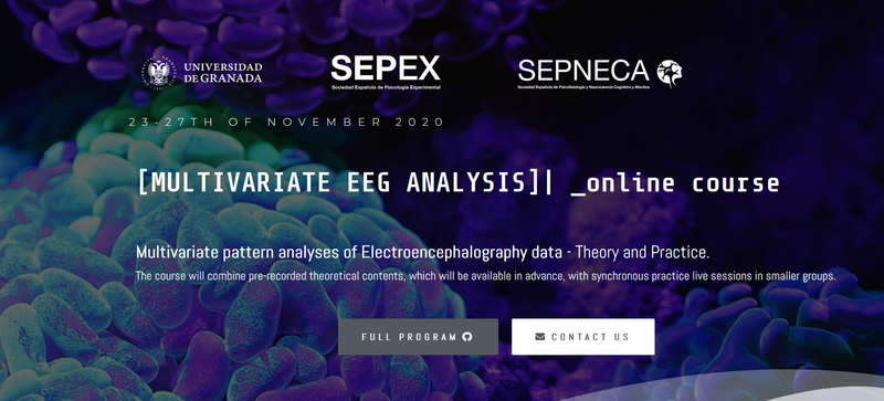 Workshop - Multivariate EEG analysis