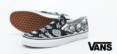 30 Things Worth Knowing About Vans