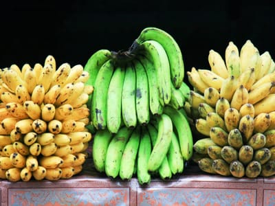30 Captivating Facts About Bananas