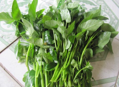 Benh tri co an rau muong khong?