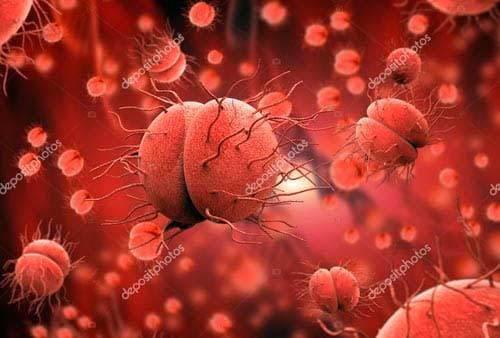 Benh lau co anh huong den thai nhi khong