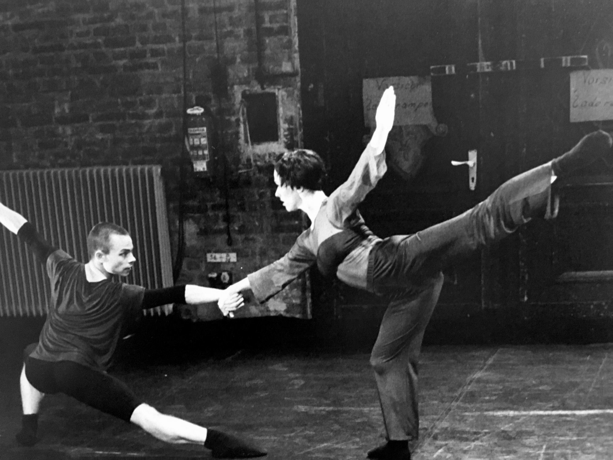 Feedback Choreografer