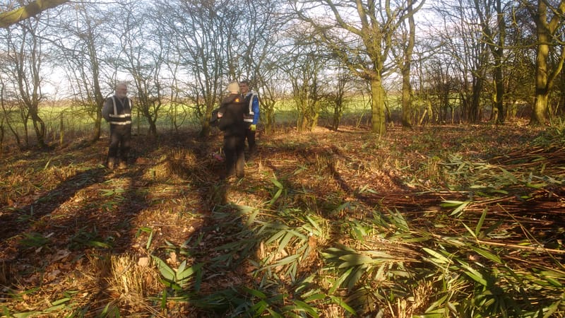 Hogswood Covert (SBI & Ancient Woodland)