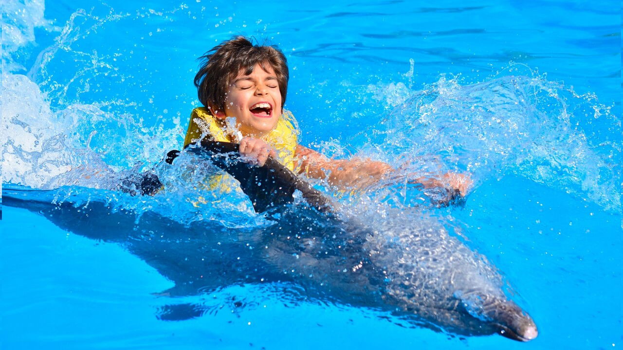 جولة للسباحة مع الدلافين في انطاليا تركيا