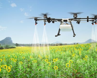 Aplicaciones de los drones en la agricultura de precisión