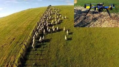DRONES PARA APLICACIONES AGRÍCOLAS Y GANADERAS