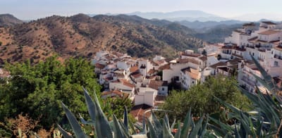 Sobre nosotros image