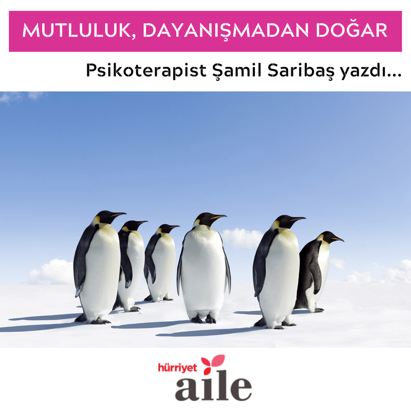 Mutluluk, Dayanışmadan Doğar