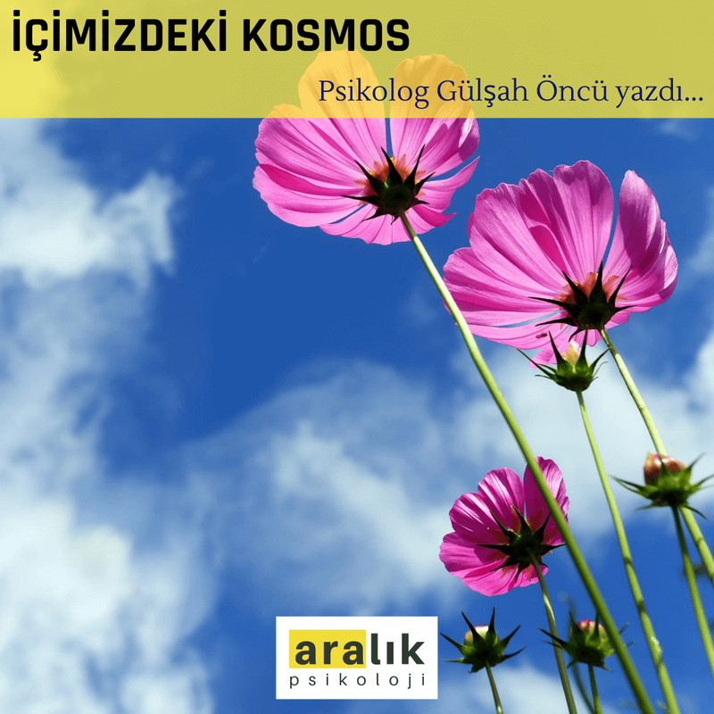 İçimizdeki Kosmos
