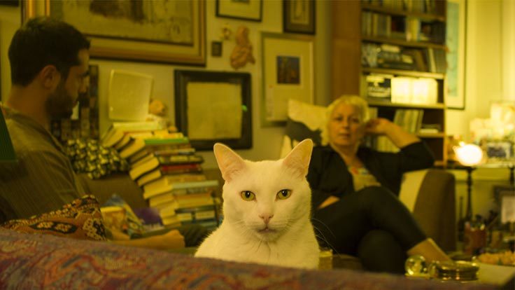 İSKENDER SAVAŞIR VE MÜZİK