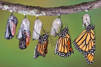 a.s. 2022 2023              Informazioni utili per partecipare a POSITIME