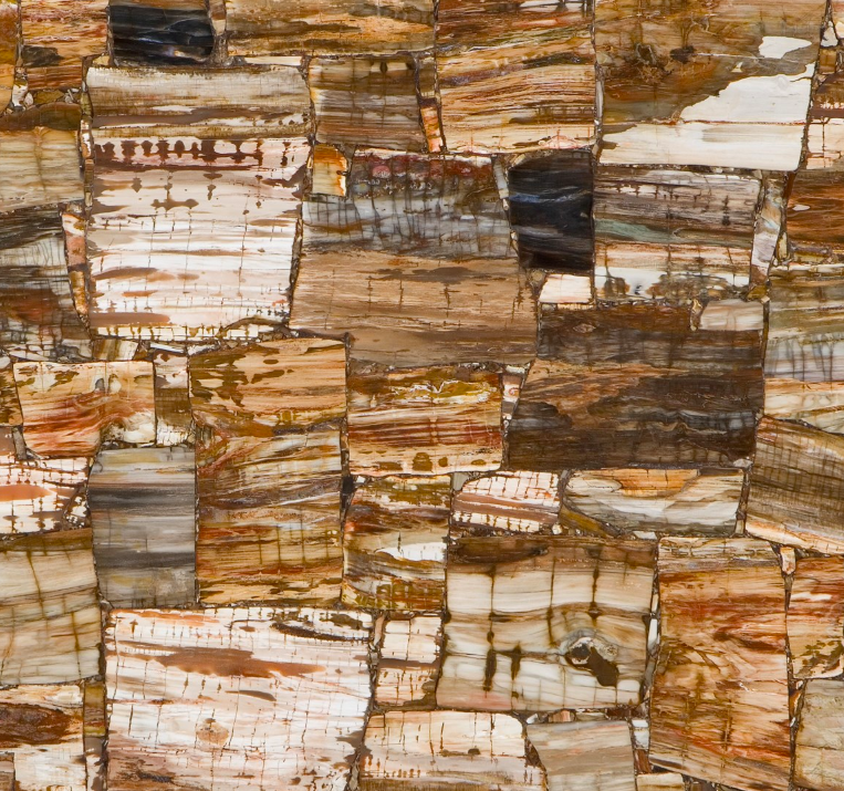 Petrified Wood Classic