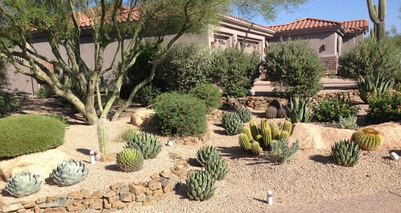 Landscaping