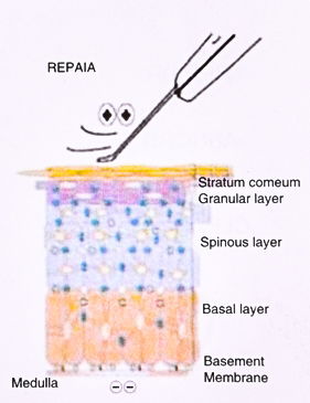 How to use – Repair Treatment