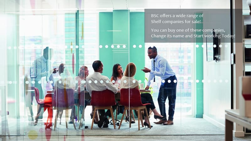 Shelf Aged Company for Sale is Going to Help You Find the Right Business!