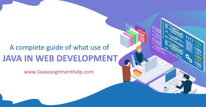 A complete guide of what  use of java in web development