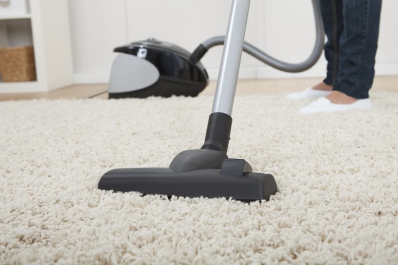 3 Ways To Remove Pet Urine Stains And Smells From Carpet