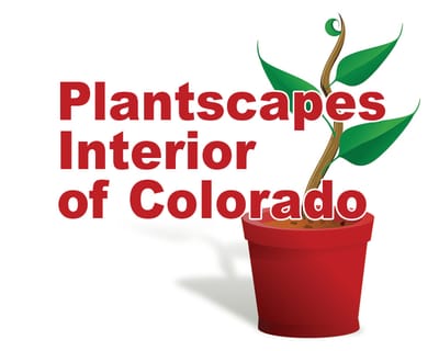 Biophilic designs and service for Colorado