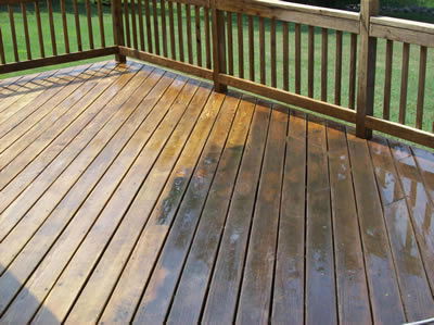 Deck / Patio