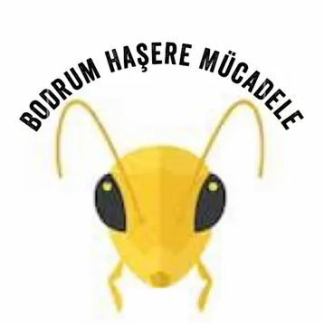 Bodrum Haşere