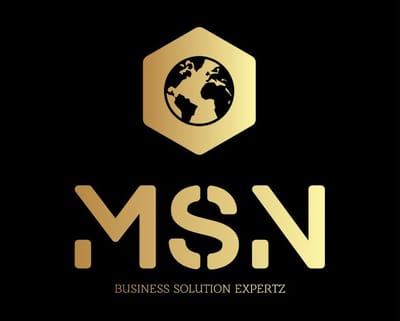 MSN Group Holdings