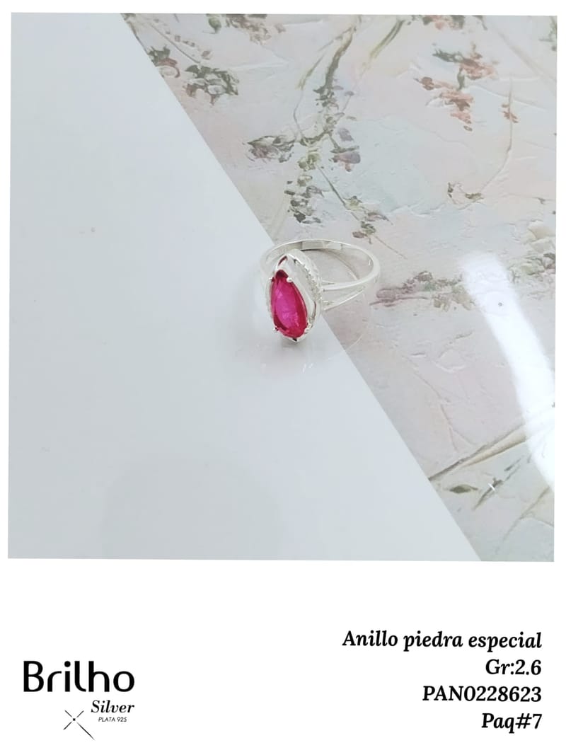 PRENDAS DE PLATA - MARZO 17