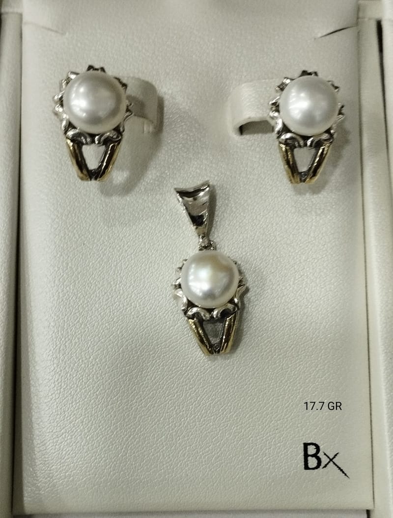 PRENDAS DE PLATA - MARZO 17