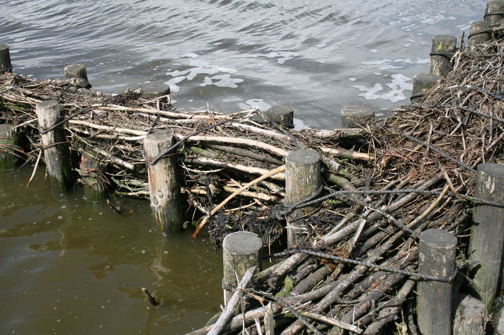 Faschinen-Baumpfähle, Weide