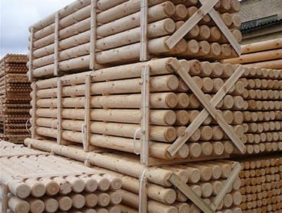 Palisaden, Robinie, roh